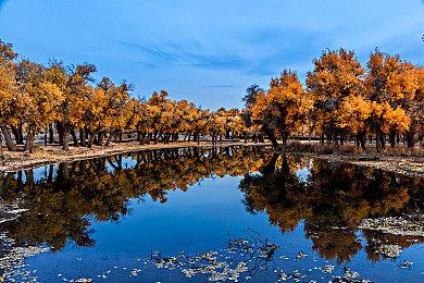 《龙腾世纪：影障守护者》实机片花和新截图发布